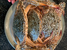 Load image into Gallery viewer, Ganjang gejang