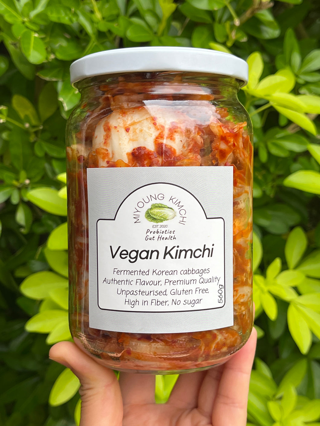 Vegan Kimchi