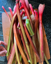 Load image into Gallery viewer, Organic Rhubarb Jam
